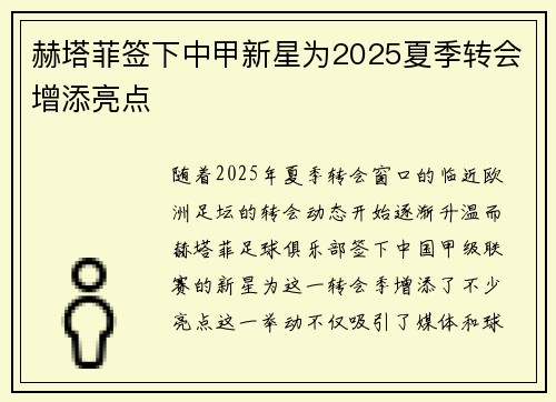 赫塔菲签下中甲新星为2025夏季转会增添亮点
